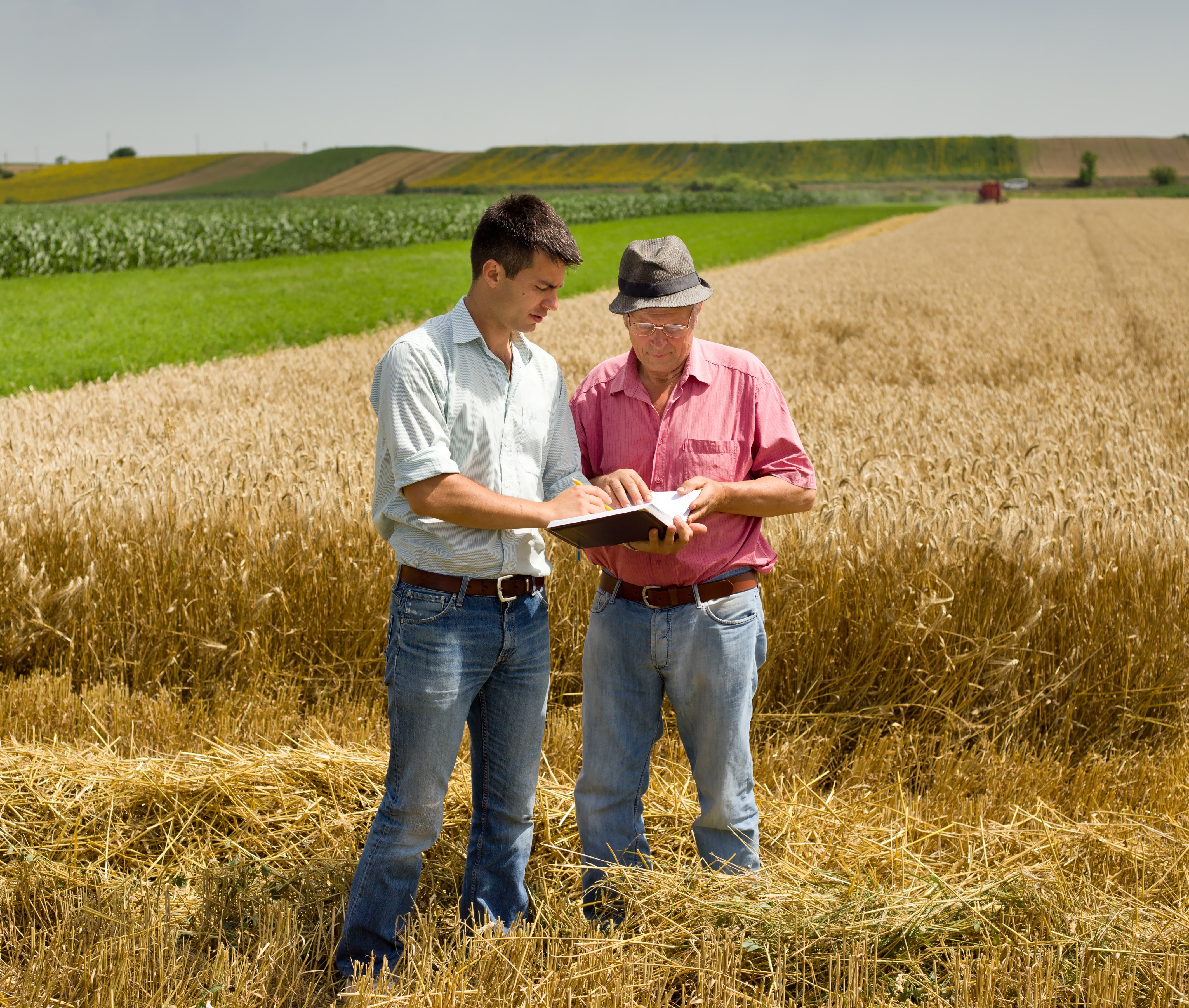 Farmer Talking to Lender
