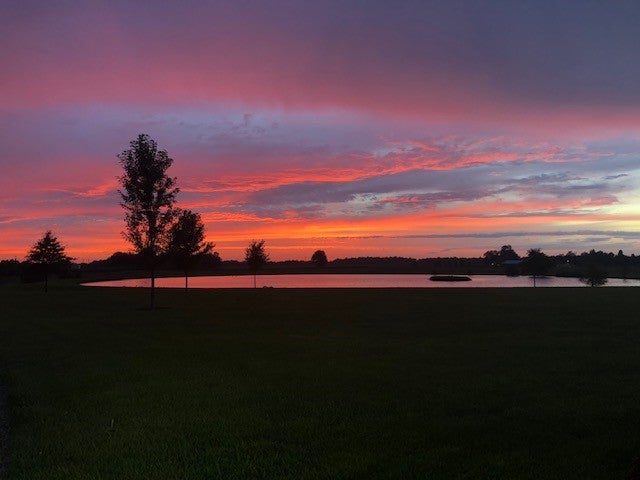 Farm pond reflecting a purple and orange sunset with silhouetted trees.