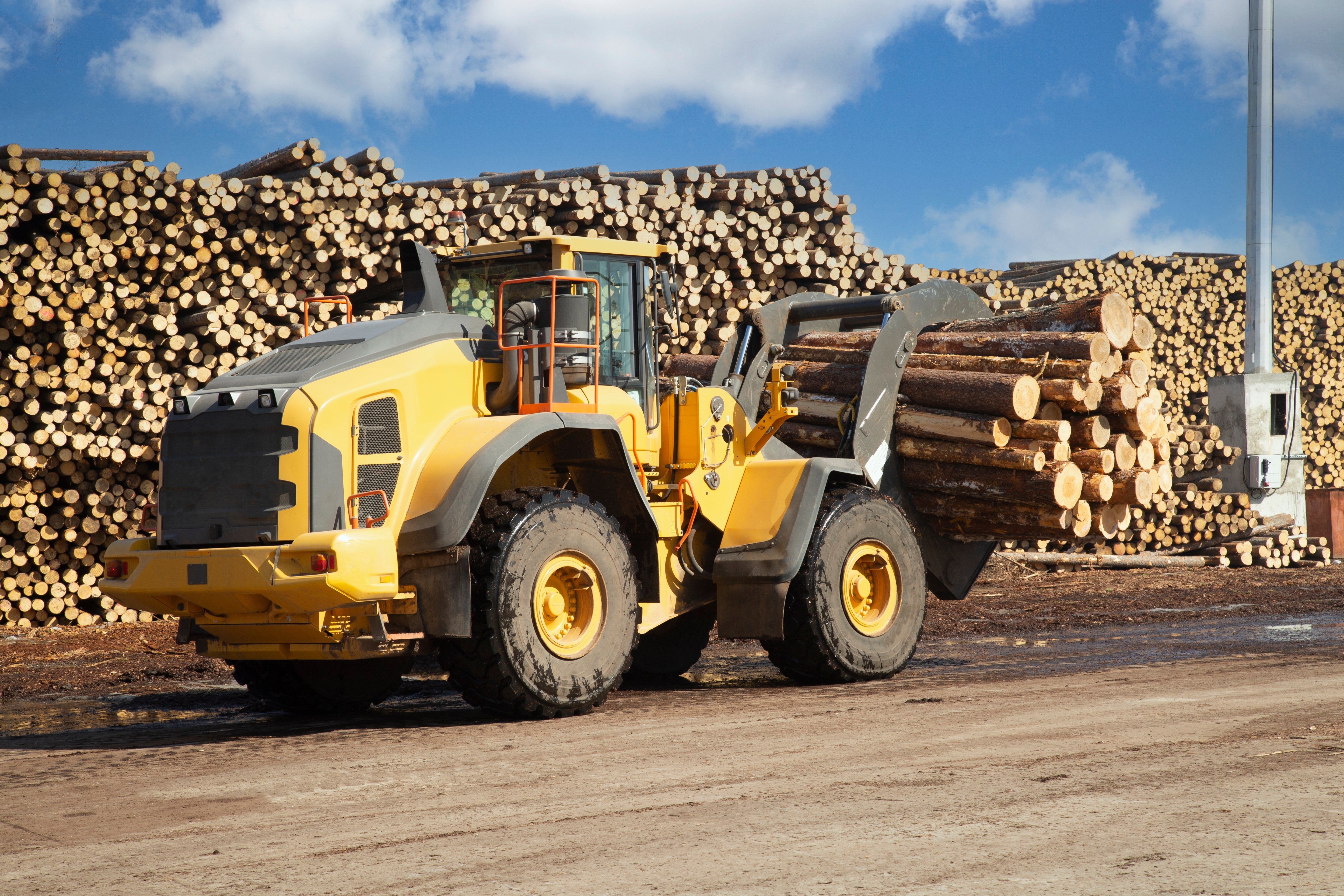 Tractor loading timber at a sawmill