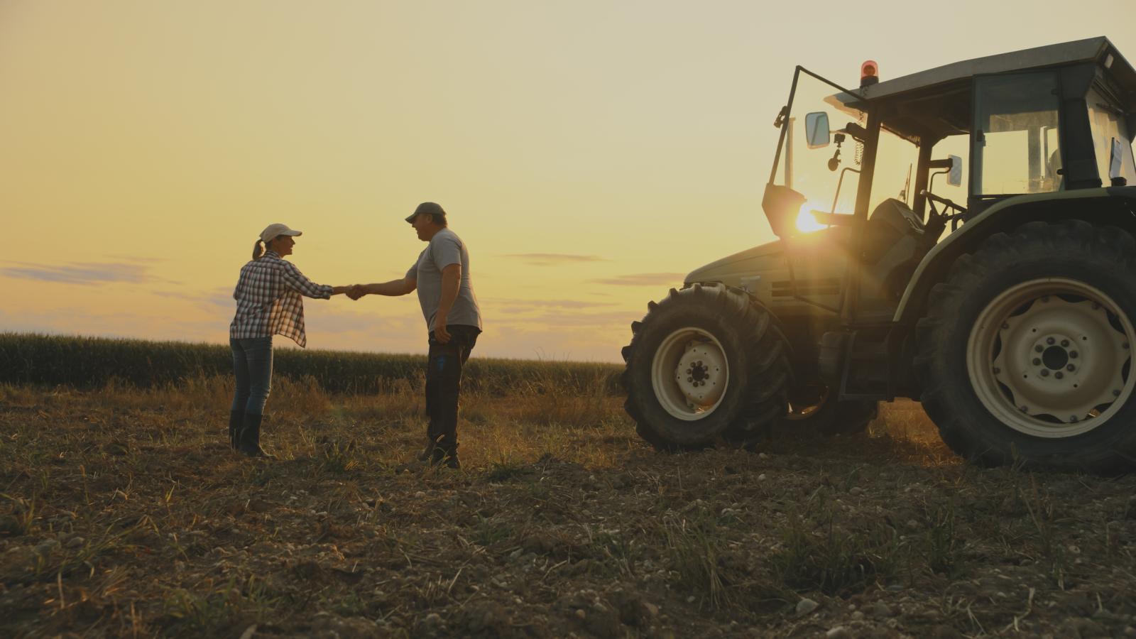 Photo of older farmer greeting younger farmer in a field