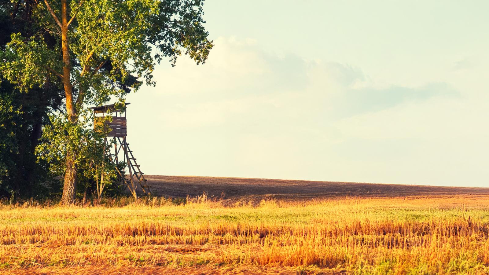 hunting land
