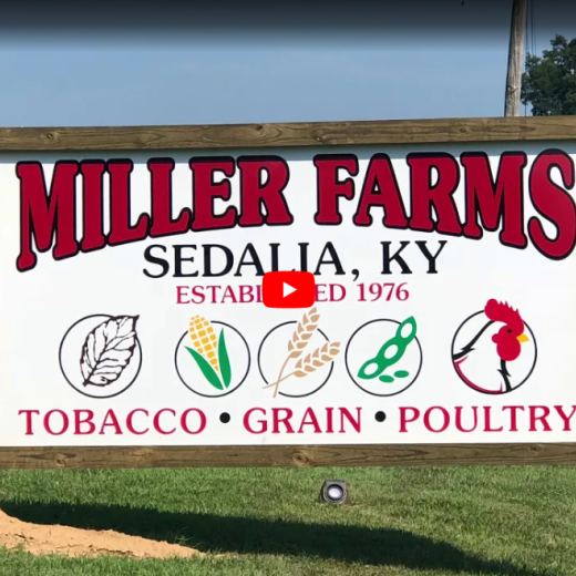 miller farms