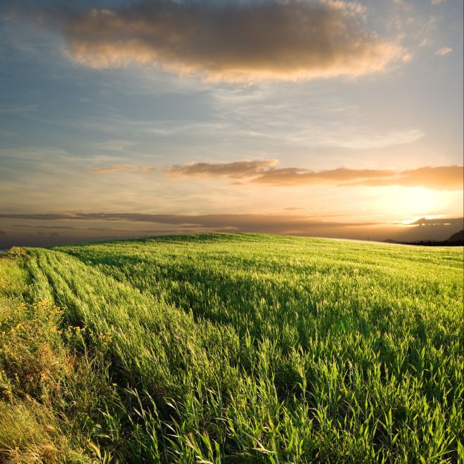 country field sky